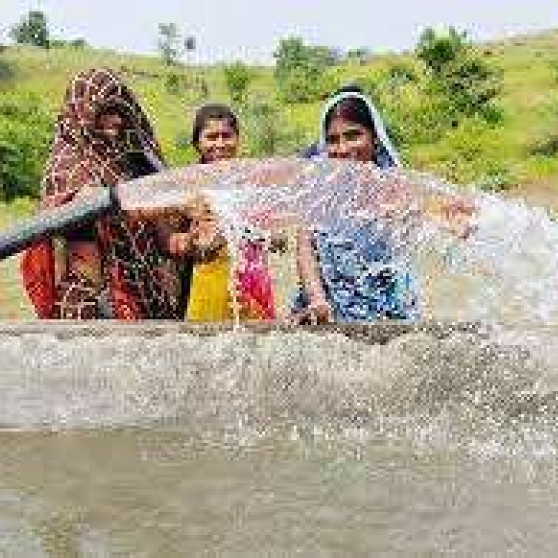 Cipla water